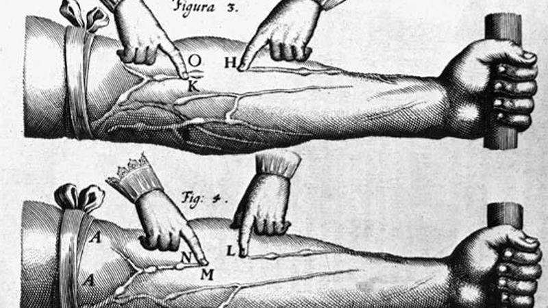 Bitcoin and germs, or how central banks practice economic phlebotomy