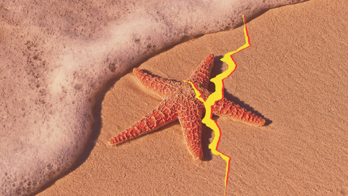 Starfish